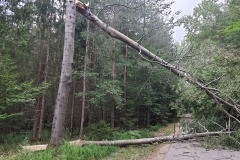Richtung Reichendorf