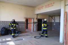 IMG-20240303-WA0011