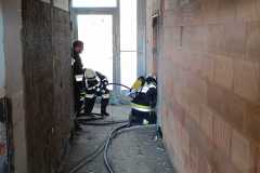 IMG-20240303-WA0015