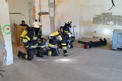IMG-20240303-WA0017