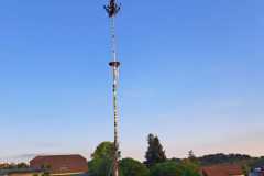 IMG-20250501-WA0049