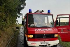 IMG-20240830-WA0014