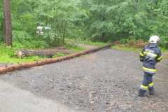 IMG-20220525-WA0013