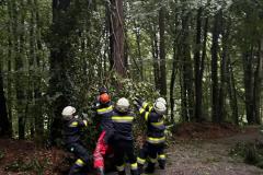 IMG-20250626-WA0011